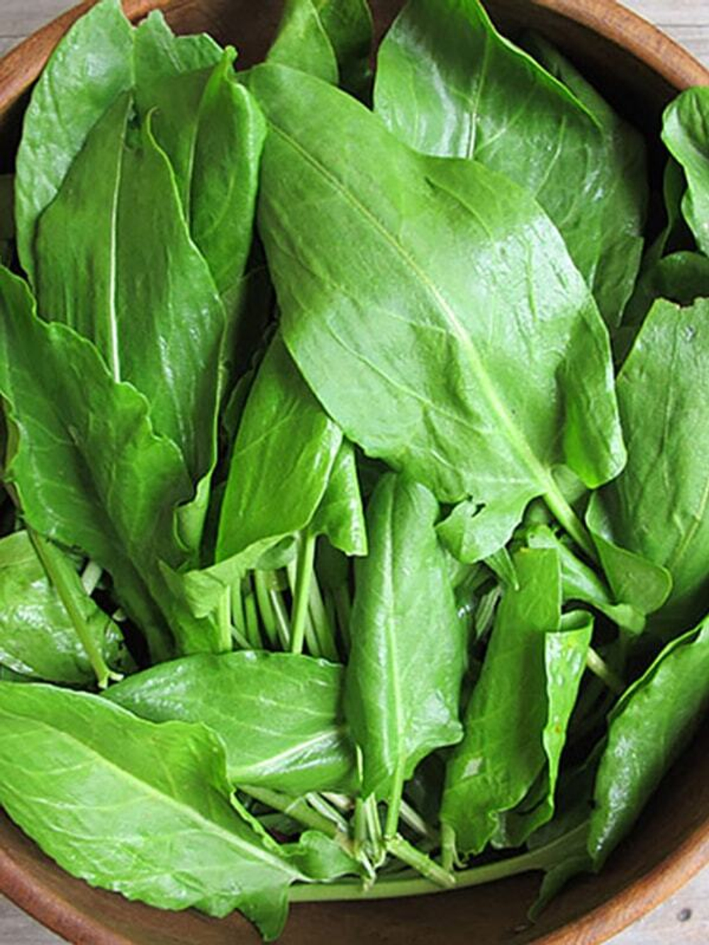 Щавель Широколистный 1 гр. Мировые Семена VITA GREEN