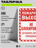 Табличка для обеспечения безопасности "Пожарный выход, оставлять проход свободным", для офиса, по охране труда для предприятия, организаций, 40х30 см, Silver Plane x Айдентика Технолоджи