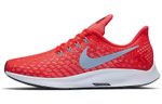 Кроссовки Nike Pegasus 35 (Женская размерная сетка)