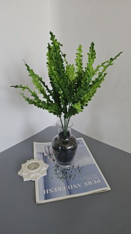 Куст папоротника резной / Арт 5146