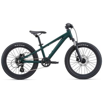 Giant stp 24 2021 2025