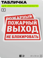Табличка для обеспечения безопасности "Пожарный выход, не блокировать", для офиса, по охране труда для предприятия, организаций, 40х30 см, Silver Plane x Айдентика Технолоджи