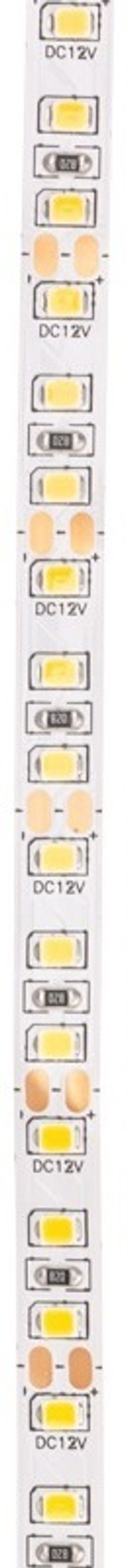 Лента светодиодная Rexant 141-223