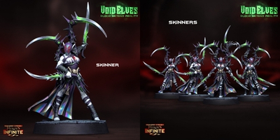 Dark Elves/Skinners