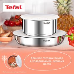 Набор посуды Tefal Ingenio Emotion из 5 предметов 16/20/22/28 см L897S574
