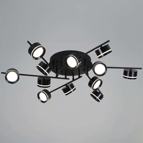 10590-0.3-12 Black светильник потолочный