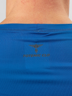 Спортивная футболка DRI FIT реглан TOTEMIC CLO василек