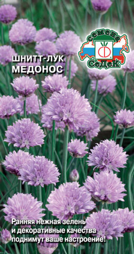 Лук- шнитт Медонос 