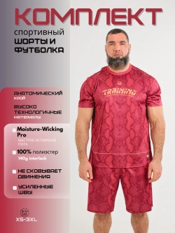 Костюм компрессионный шорты и футболка для тренировок