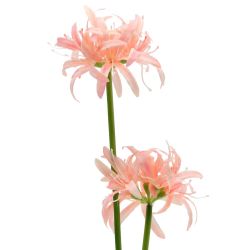 GAEM Цветы искусственные "Букет", L11 W11 H52 см