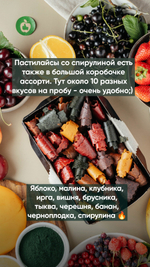 Пастилайсы рулетики яблоко-спирулина, 100 г