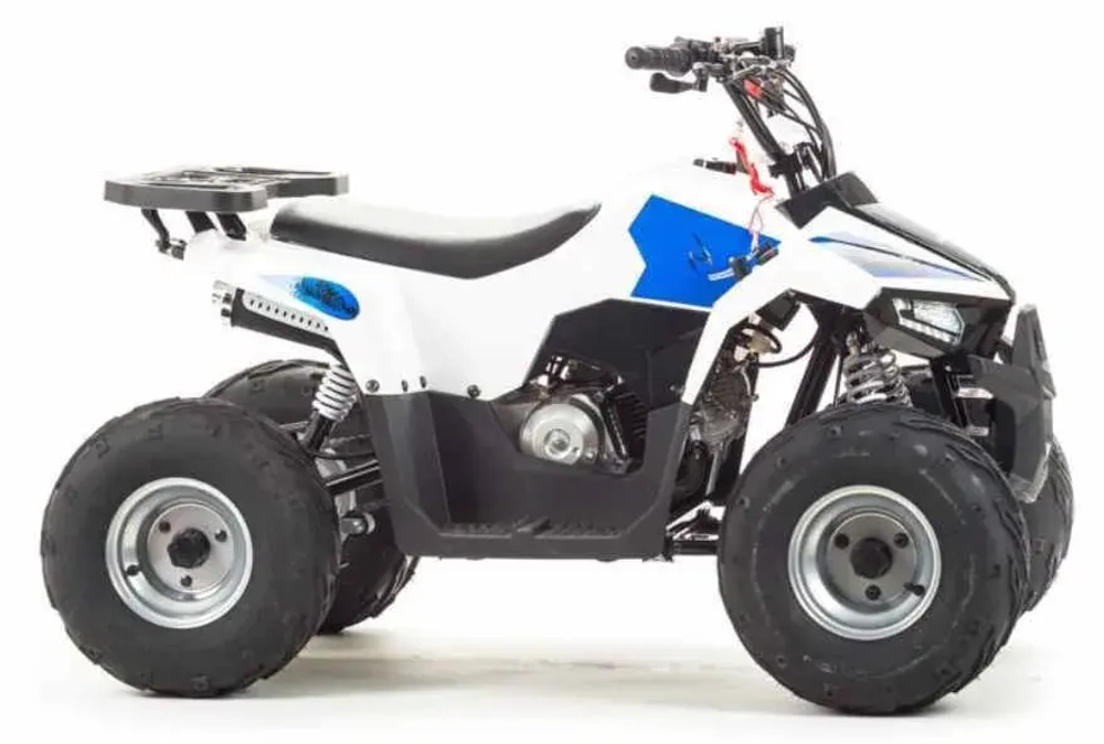 Квадроцикл Motoland 110 EAGLE (2020 г.)