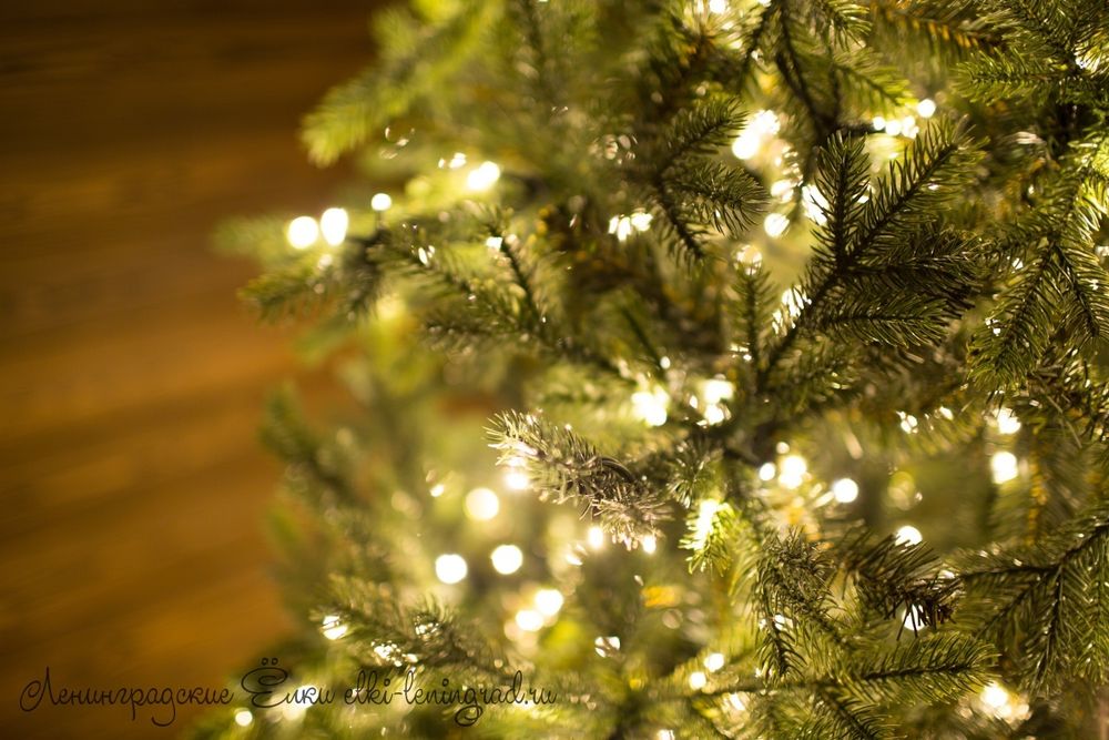 "ГРАЦИО ПРЕМИУМ" Светящаяся 17