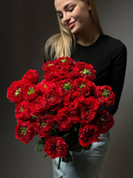 Букет из 25 красных пионовидных роз под ленту