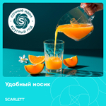 Соковыжималка SCARLETT SC-JE50C06 белый с красным