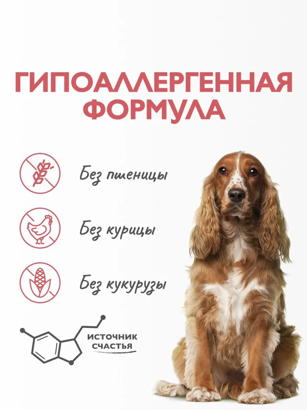 Сухой корм БРИТ КЭА для собак средних пород для улучшения состояния кожи и шерсти с Лососем и индейкой 12кг