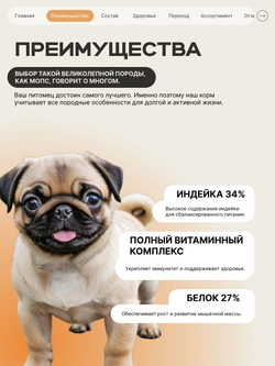 Quattro корм для щенков породы Мопс, с индейкой, 6 кг, QUATTRO