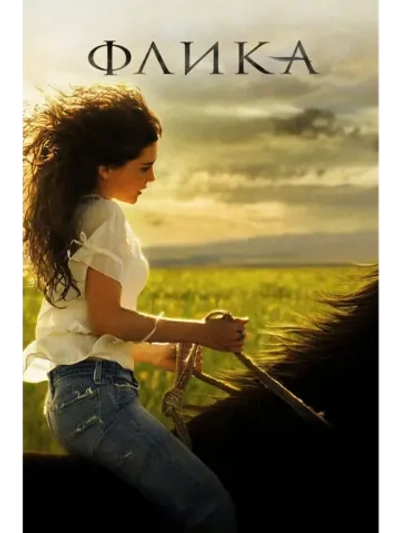 Флика (2006) (DVD-R)