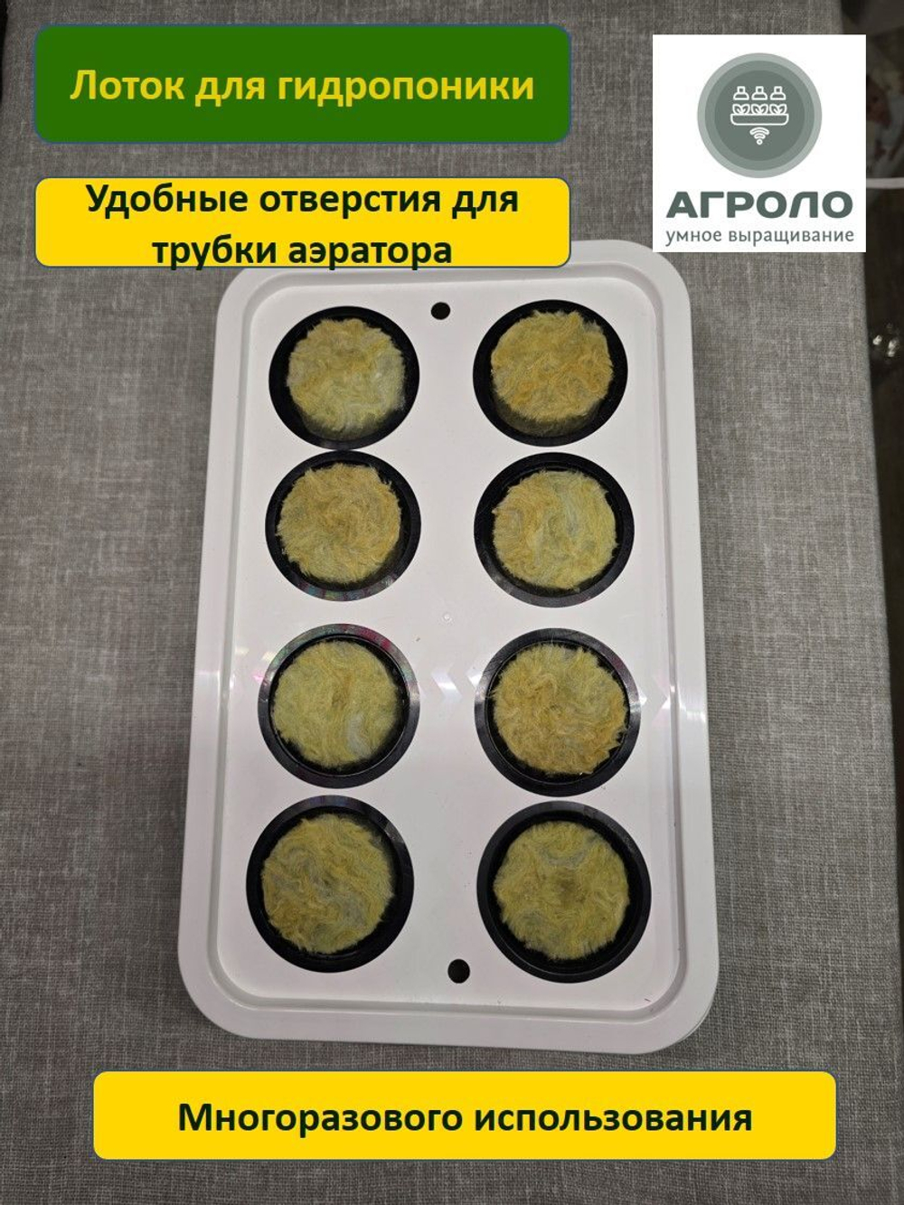 Лоток для гидропоники, Настольная садовая ферма, Система выращивания АГРОЛО