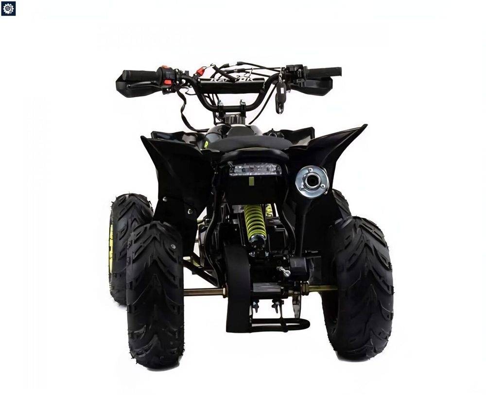 Квадроцикл Racer Raptor 110