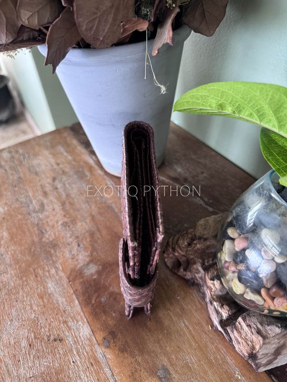 Бифолд кошелек из кожи питона WA-255