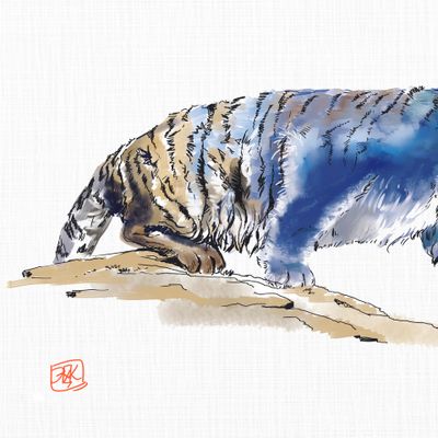 Голубой тигр