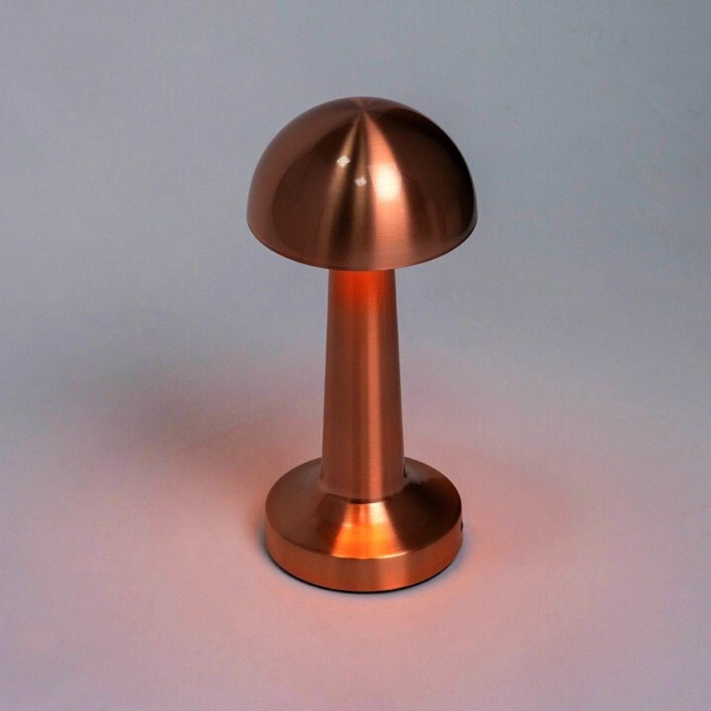 Настольная лампа декоративная Escada Evo 10257/L LED