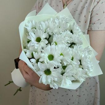 Белые хризантемы