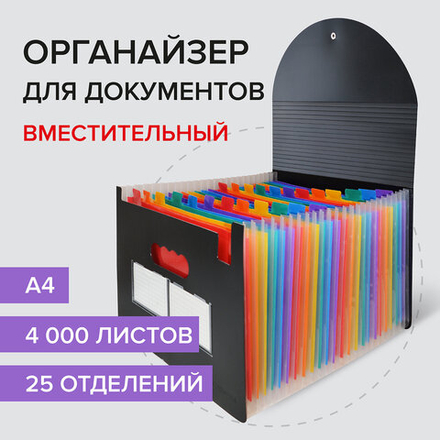 Лоток-органайзер для бумаг и документов на резинке, 25 отделений, BRAUBERG DOCS, А4, черная, 2 штуки в комплекте.