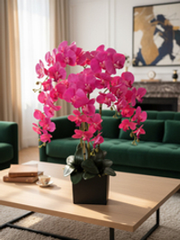 Орхидеи фаленопсис малиновые 5 веток в сером кашпо Лофт