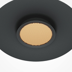 Подвесной светильник Maytoni MOD041PL-L15B3K1