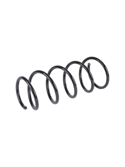 Пружина передняя L R Renault Clio II 09/98-05/05 GANZ GIK02649