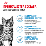 Royal Canin Indoor Sterilized 7+ Индор стерилайзд Корм влажный для стерилизованных кошек в возрасте от 7 до 12 лет живущих в помещении желе 85г