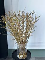 Ветка форзиции