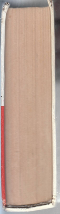 The Телки. Повесть о ненастоящей любви