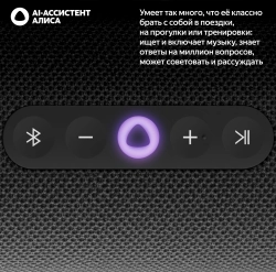 Умная колонка Yandex Стрит Алиса черный 30W 2.0 BT/Wi-Fi 10м 3300mAh (YNDX-00030BLK)