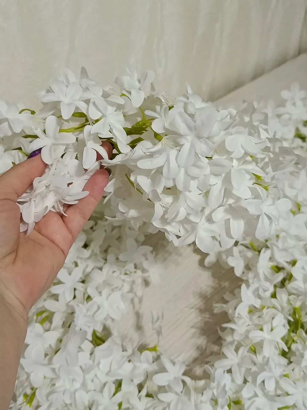 Лиана звездочка "Мадлен"