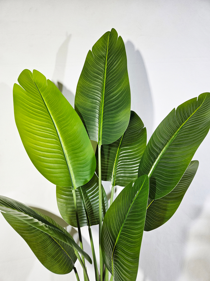 Искусственные растения — детальный крупный план листьев для дома и интерьера