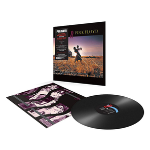 Pink Floyd / A Collection Of Great Dance Songs (LP)