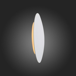Настенный светильник ST-Luce SL457.511.01