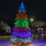 уличная ель светодинамическая каркасная "Уральская"