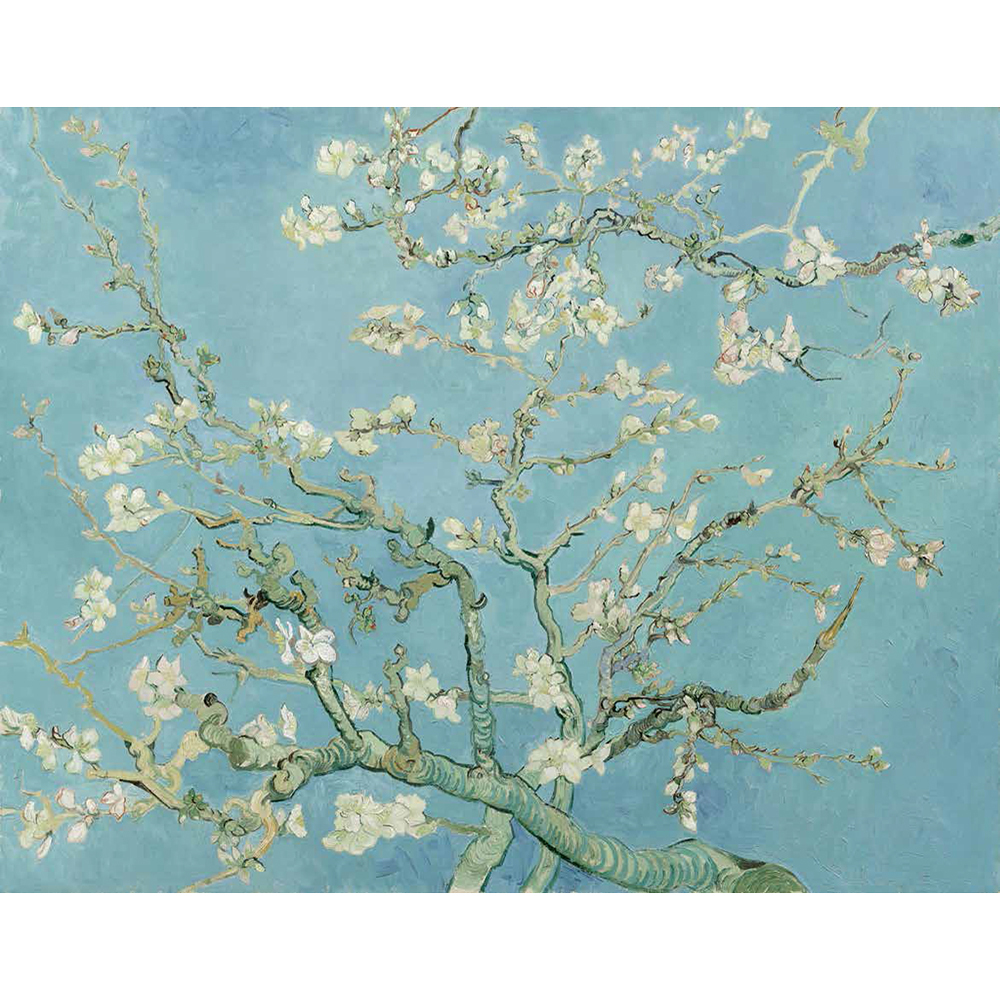 BN 30548 ПанноBN  (Van Gogh) 2,7x3,72 винил на флизе