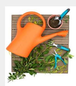 Лейка Radivas оранжевая 7 л