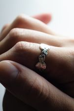 Кольцо Луна