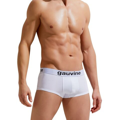 Мужские трусы-боксеры с брендированной резинкой Gauvine (Размер: S) (Цвет: белый)