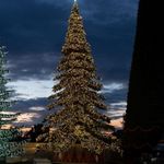 светодинамическая елка "Таежная" ствольная