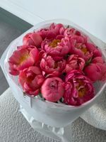 Букет из пионов сорта Корал Шарм 15 шт