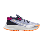 Кроссовки Nike Pegasus Trail 2 (Женская размерная сетка)
