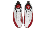 Кроссовки Jordan Air Jordan 12 Low Golf