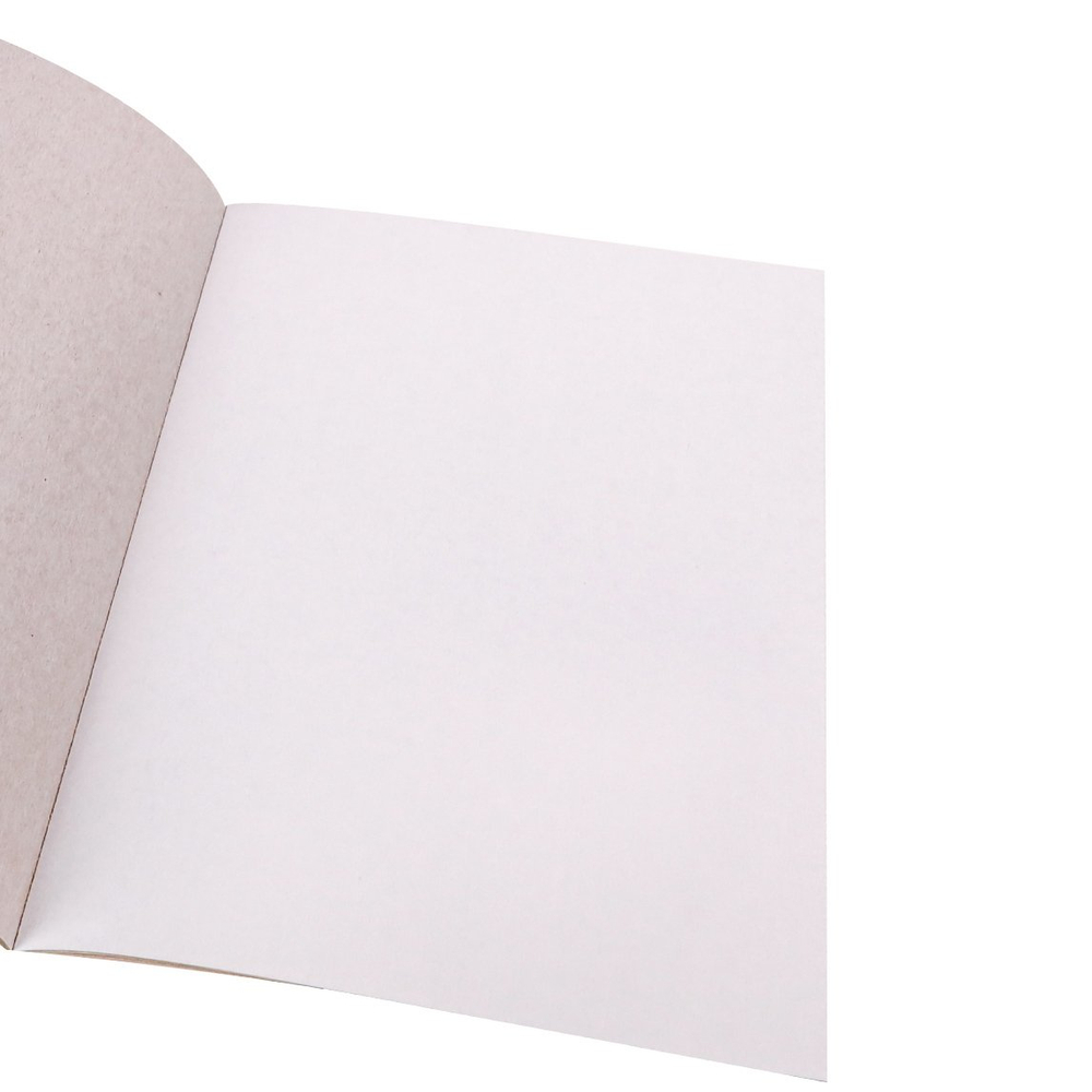 Картон белый Проф-Пресс,193*280мм., мелованный, 10 листов, КБС, "Музыкальный попугай"